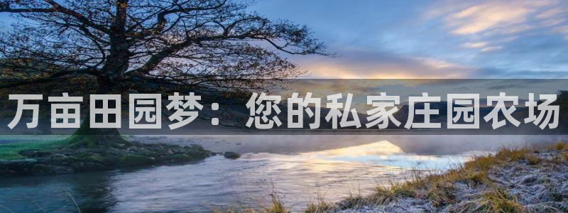 天辰娱乐ttf
