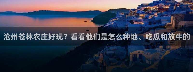 天辰娱乐平台地址