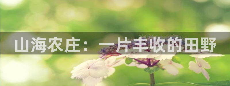 天辰娱乐测试