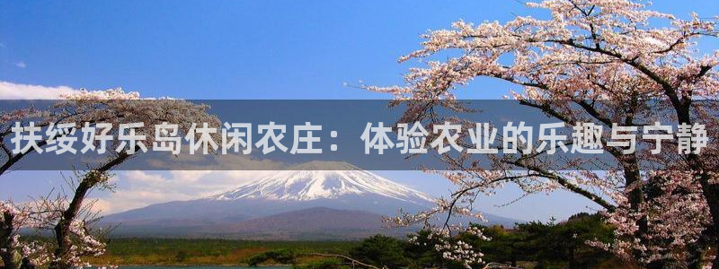 天辰娱乐平台