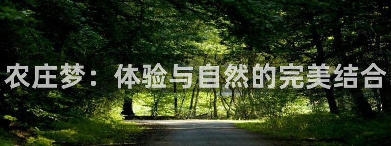 天辰娱乐连接