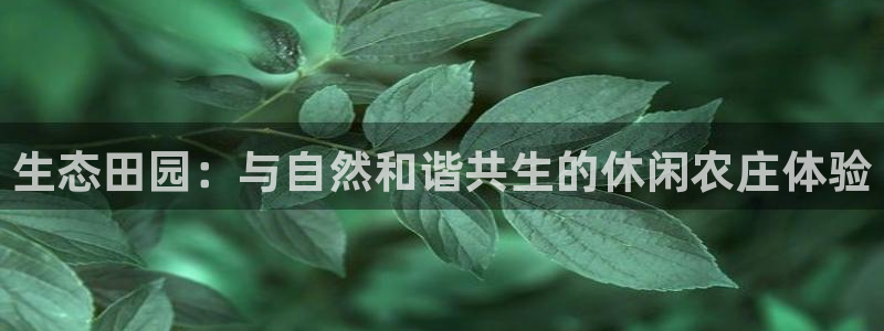 天辰娱乐连接