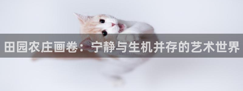 天辰娱乐电话