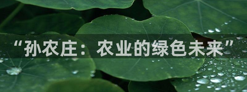 天辰娱乐跑的快