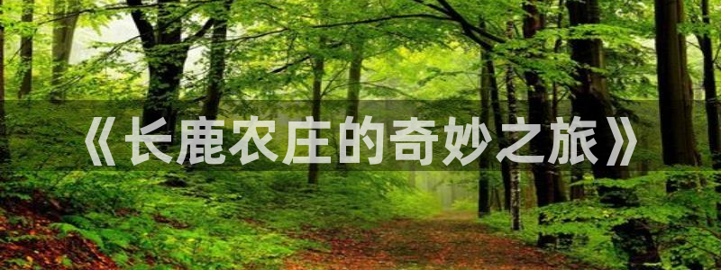 天辰彩票娱乐
