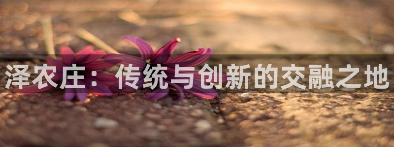 天辰娱乐指定
