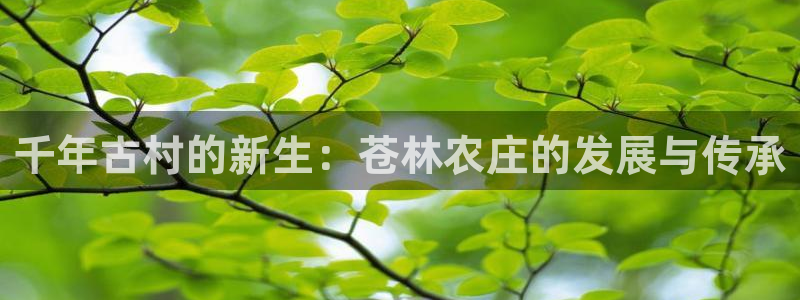 天辰娱乐-18113