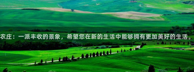 天辰团队贝高娱乐