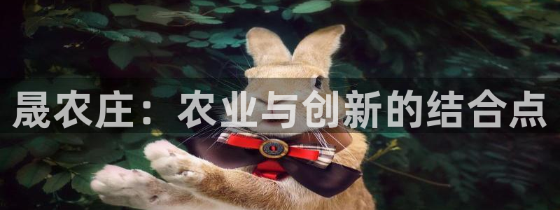 天辰娱乐 231639