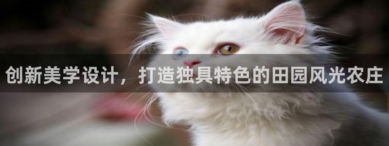 天辰娱乐675138