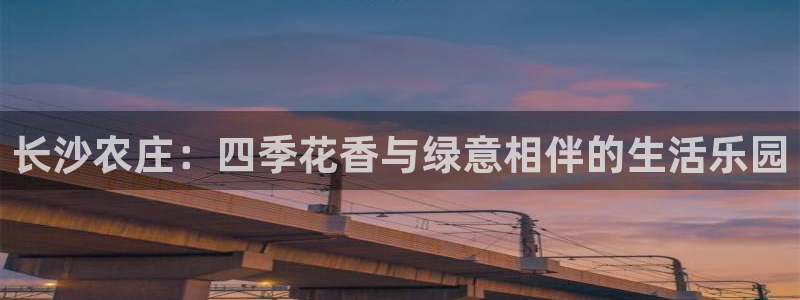 天辰娱乐小姐