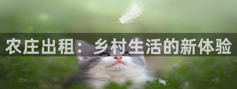 天辰娱乐小姐