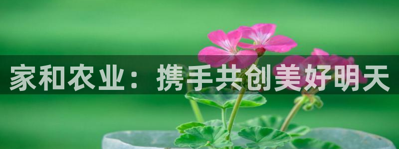 天辰娱乐登陆