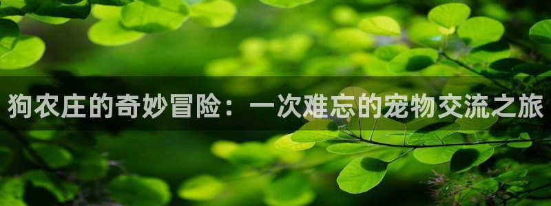 天辰娱乐酒店