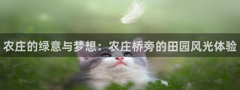天辰娱乐在线