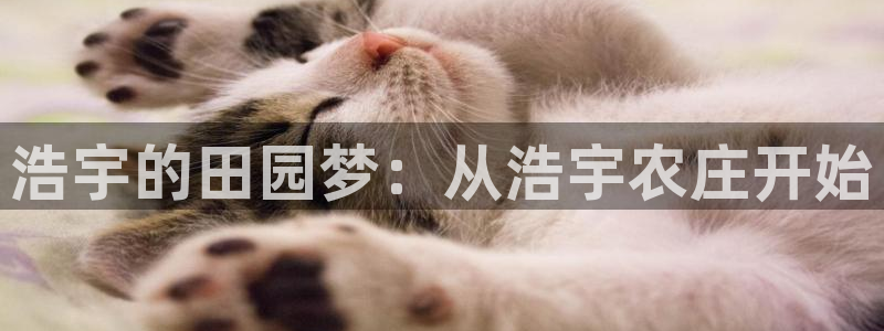 天辰 娱乐