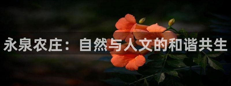 天辰娱乐论坛