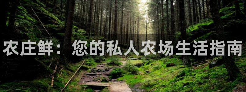 天辰娱乐 231639