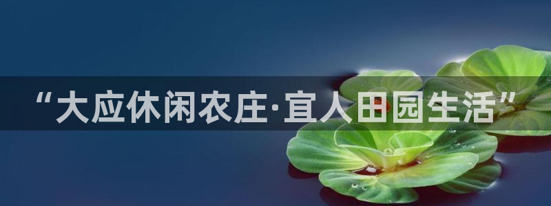 天辰娱乐-q