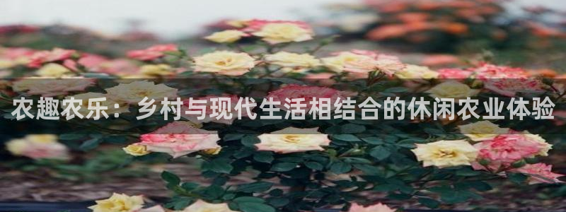 天辰娱乐新闻