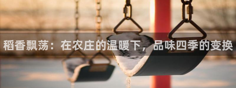 天辰娱乐分红
