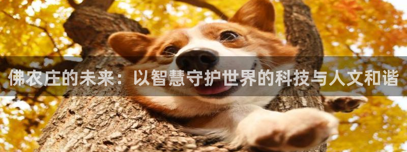 天辰娱乐51137
