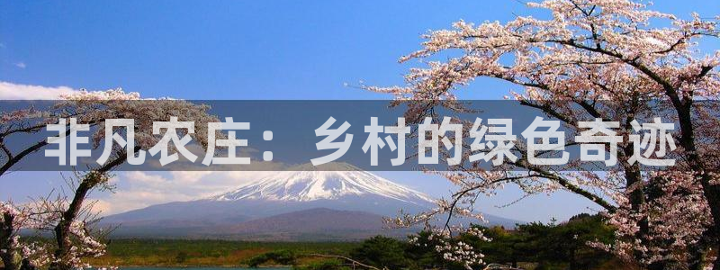 天辰娱乐彩票