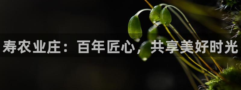 天辰娱乐APP下载