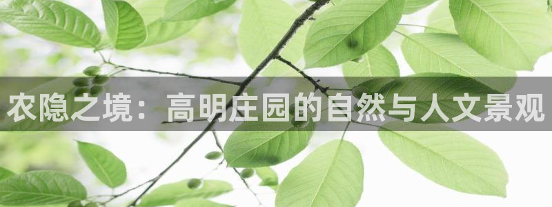 天辰天富娱乐登录