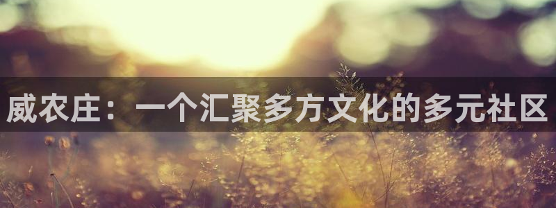 天辰娱乐跑的快