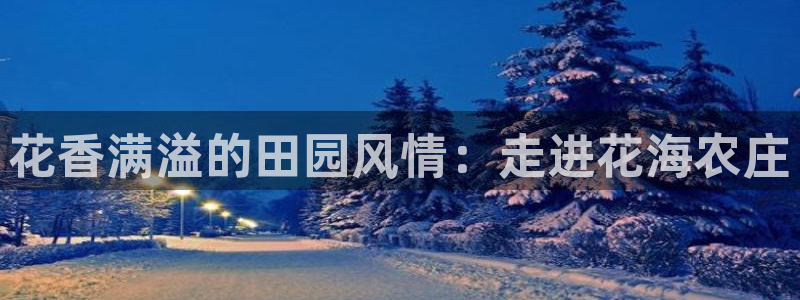 天辰娱乐平台注册