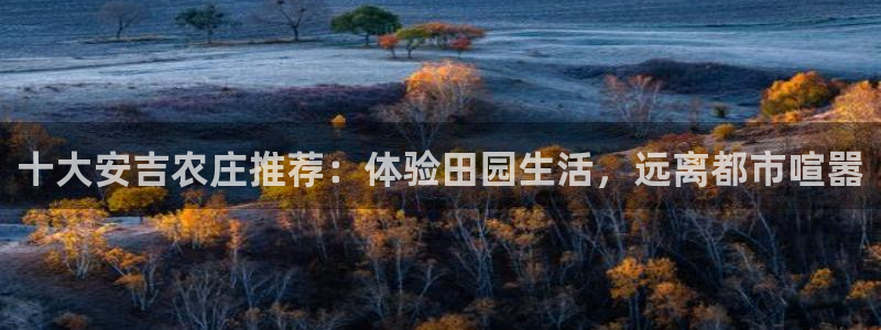 天辰娱乐平台入口