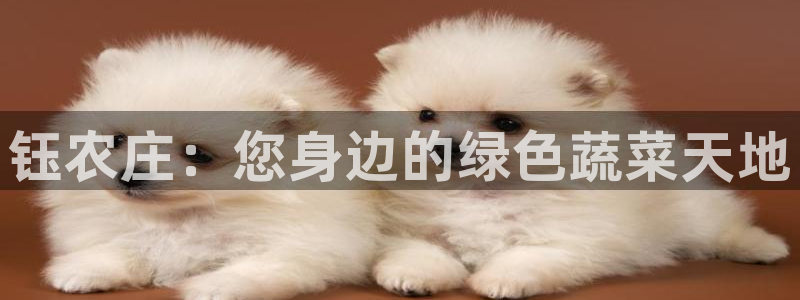 天辰娱乐登陆平台