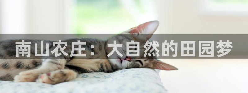 天辰娱乐游戏平台怎么样