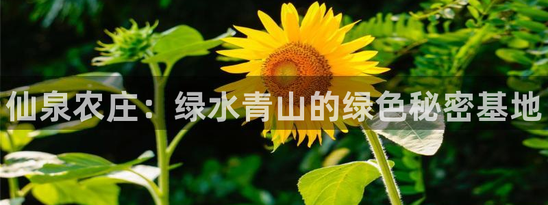 天辰娱乐注册登录