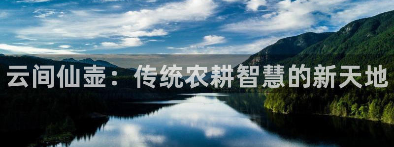 天辰娱乐平台登录账号