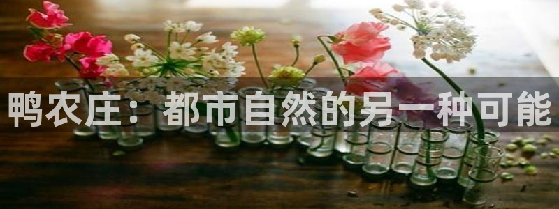 天辰娱乐注册登录