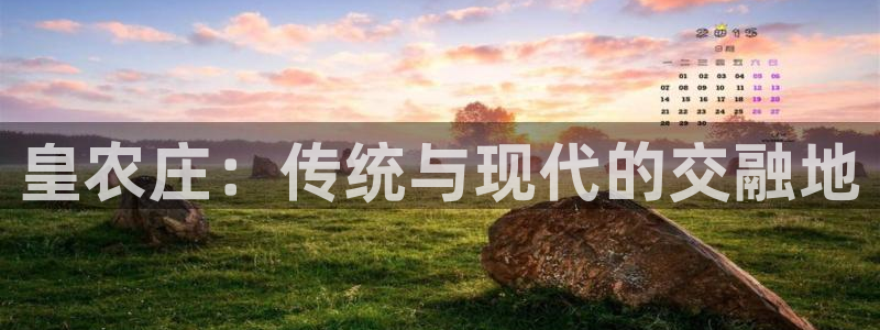 天辰团队贝高娱乐