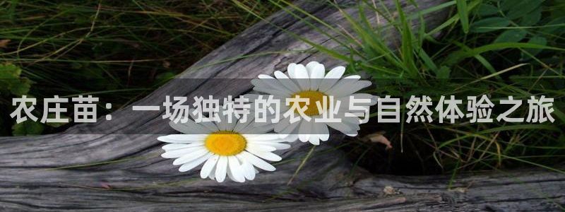 天辰娱乐7天22650