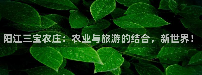 天辰娱乐十分彩