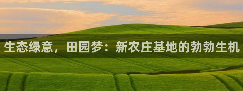 天辰娱乐官方网