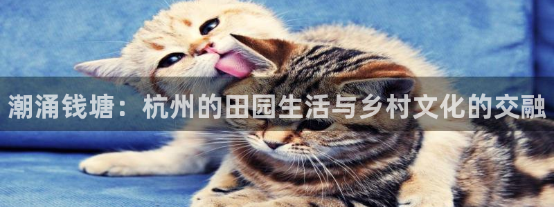 天辰娱乐平台