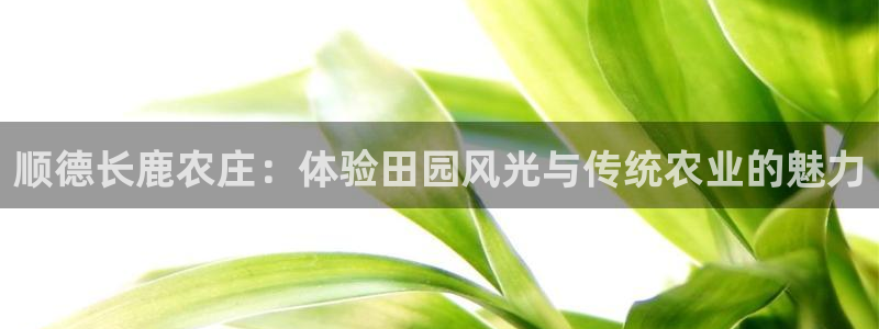 天辰娱乐路线