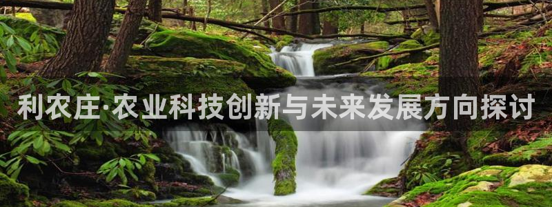 天辰娱乐481928