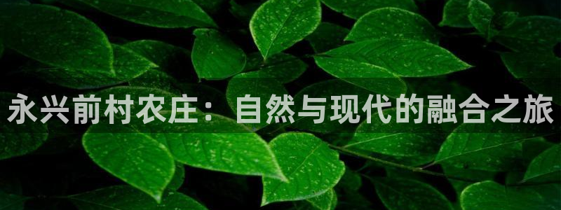 天辰娱乐欢乐