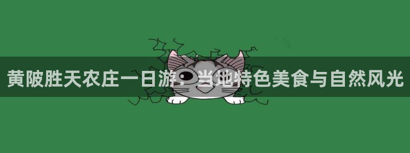 天辰娱乐平台app下载