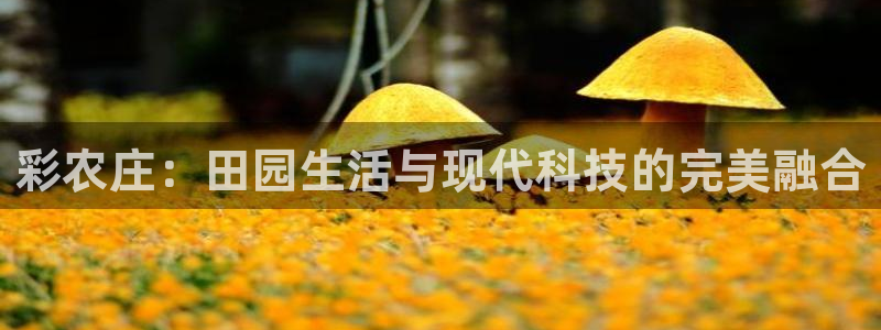 天辰娱乐天辰宝