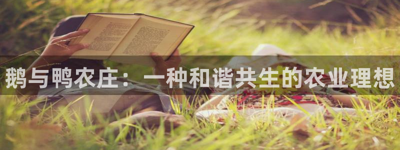 天辰娱乐39974神