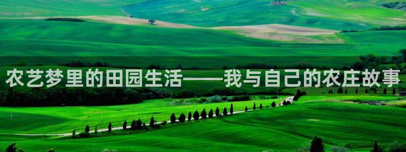 天辰团队贝高娱乐