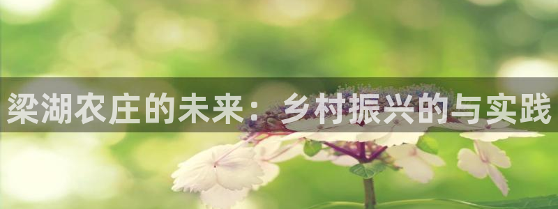 天辰娱乐平台登录账号